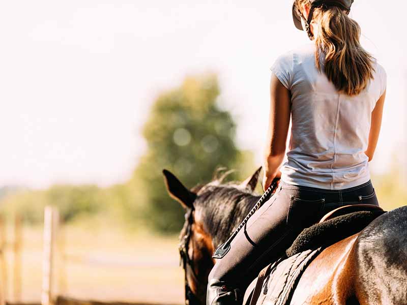 Equitation et promenade à cheval
